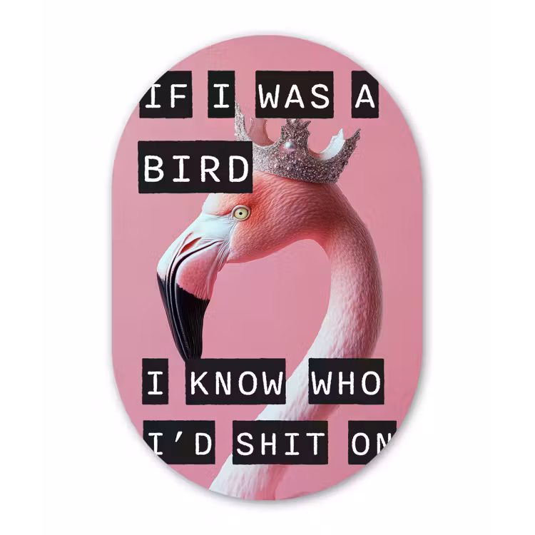 Flamingo - Roze - Vogel - Decoratie Wandcirkel Ovaal Forex klein -3d