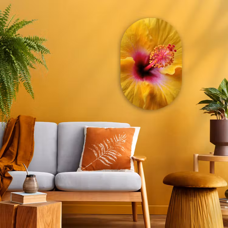 Geel - Hibiscus - Tropisch Wandcirkel Ovaal Forex klein -sfeer4