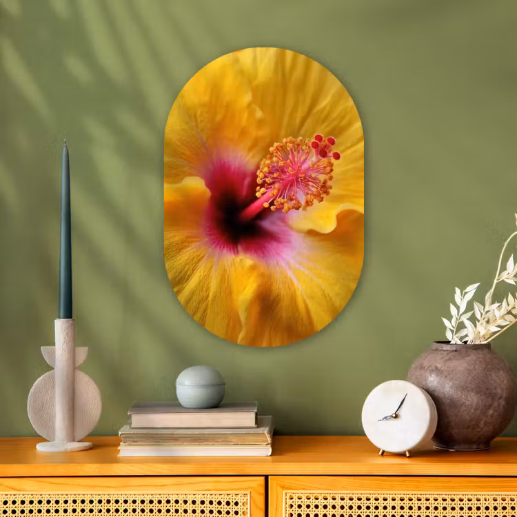Geel - Hibiscus - Tropisch Wandcirkel Ovaal Forex klein -sfeer2