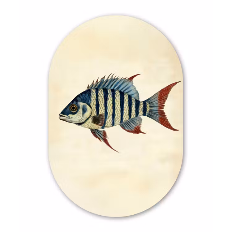 Gestreept - Donkerblauw - Rugvin - Vis Wandcirkel Ovaal Forex klein -3d