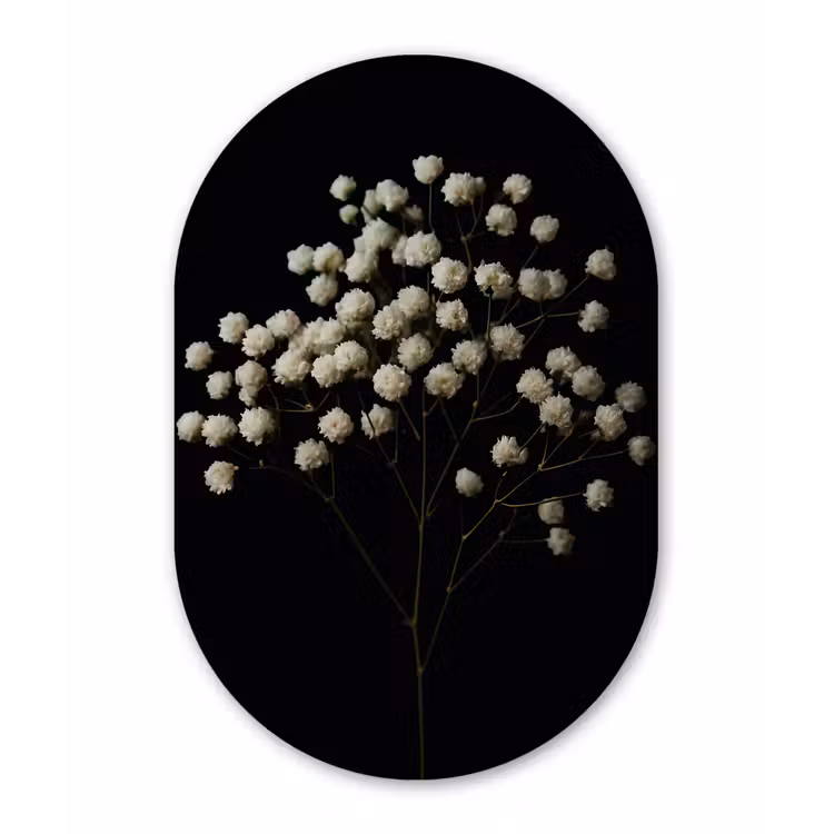 Gipskruid - Bloemetjes - Wit - Minimalistisch Wandcirkel Ovaal Forex klein -3d