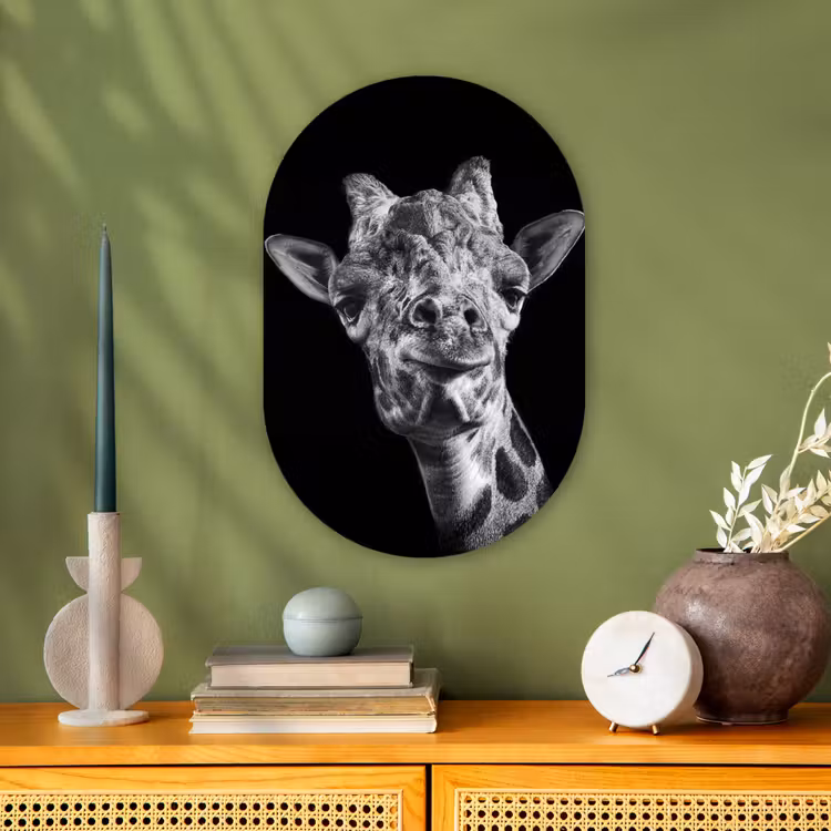 Giraffe - Dier - Zwart - Wit Wandcirkel Ovaal Forex klein -sfeer2