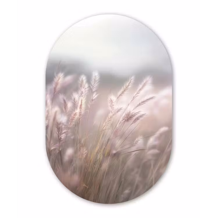 Graspluimen - Wind - Beige - Mistig Wandcirkel Ovaal Forex klein -3d