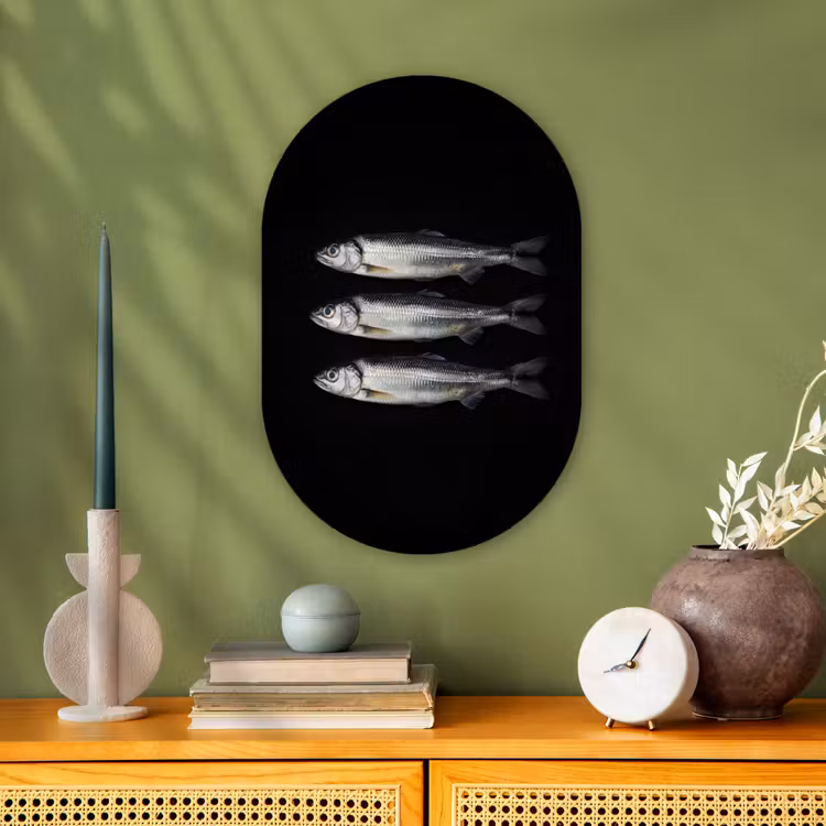Haring - Vissen - Zwart Wandcirkel Ovaal Forex klein -sfeer2