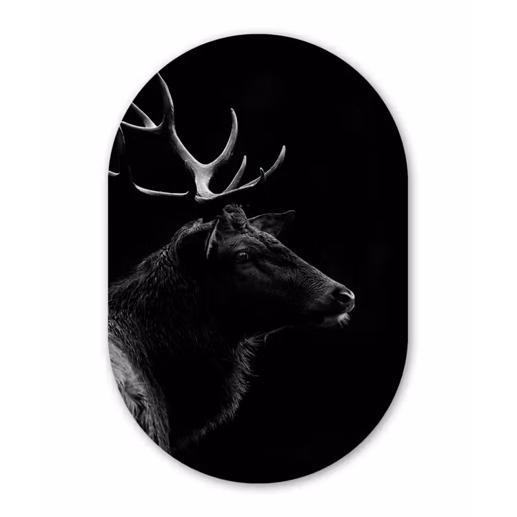 Hert - Zwart - Portret - Gewei - Dieren Wandcirkel Ovaal Forex klein -3d