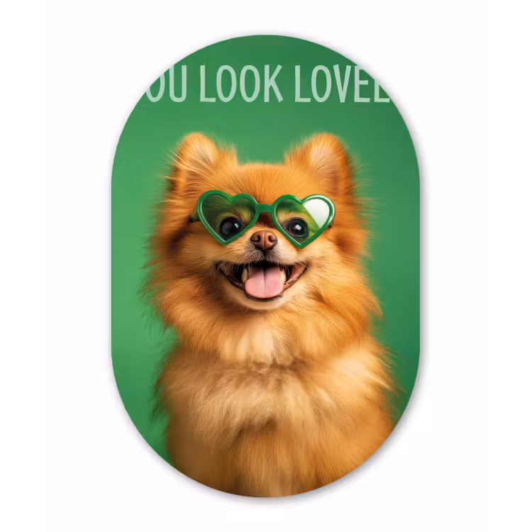 Hond - Zonnebril - Valentijn - Love Wandcirkel Ovaal Forex klein -3d