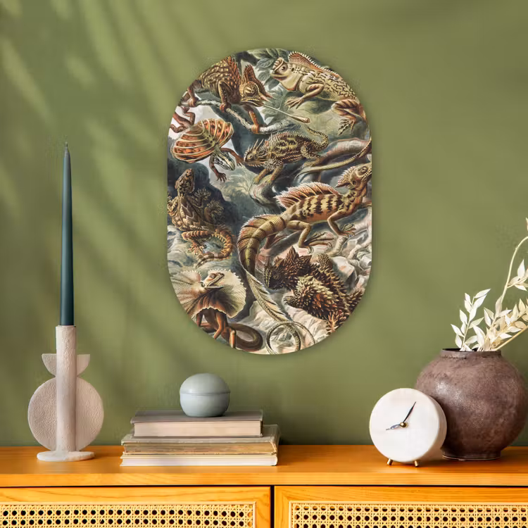 Vintage - Kunst - Ernst Haeckel - Salamanders Wandcirkel Ovaal Forex klein -sfeer2