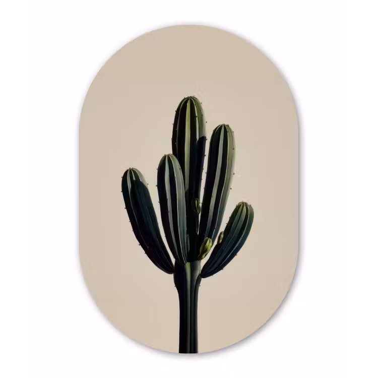 Cactus - Subtiel - Groen Wandcirkel Ovaal Forex klein -3d