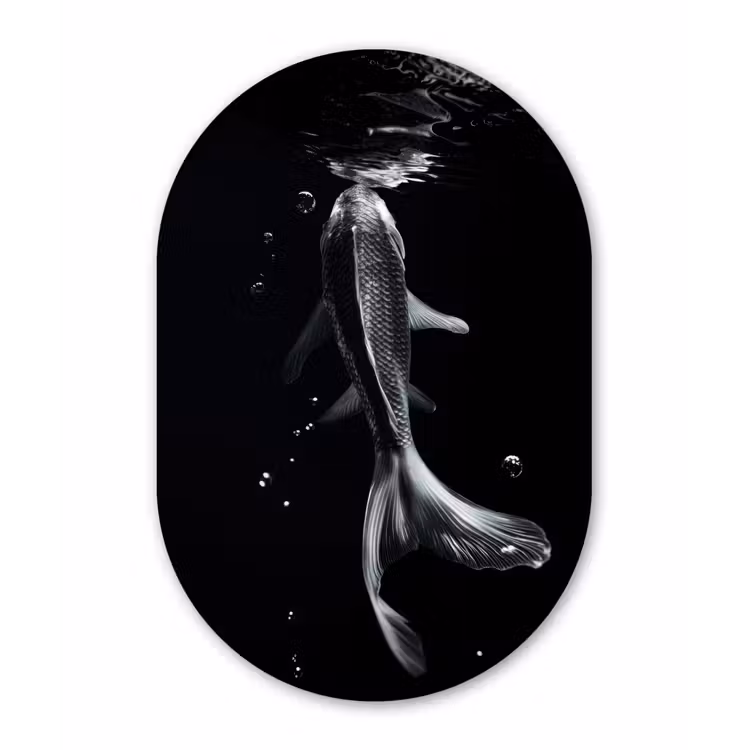 Koi - Vissen - Water - Zwart Wandcirkel Ovaal Forex klein -3d