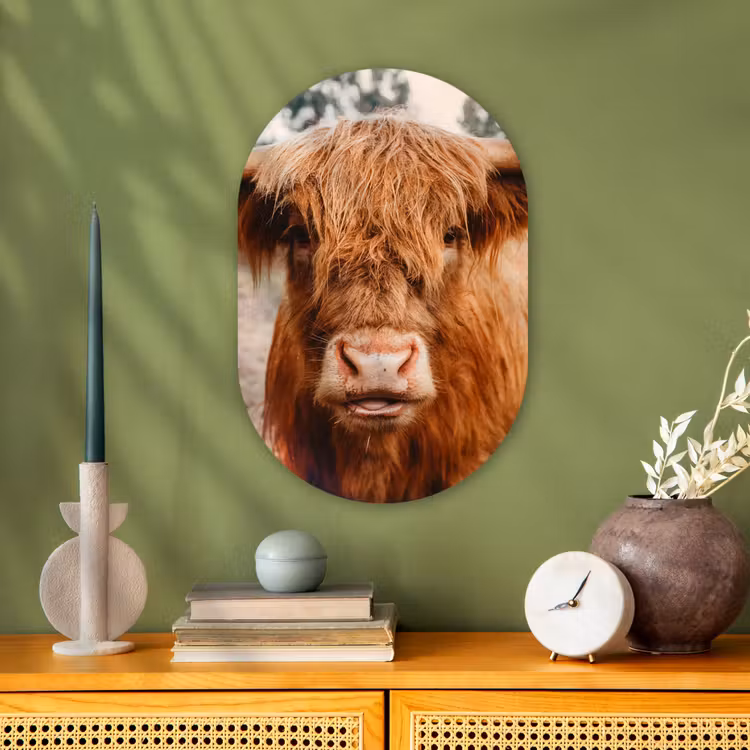 Koe- Schotse hooglander - Hoorns - Bruin - Landschap Wandcirkel Ovaal Forex klein -sfeer2
