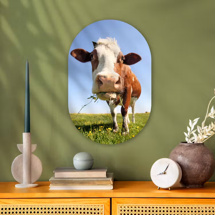 Koe - Dieren - Bloemen - Gras Wandcirkel Ovaal Forex klein -sfeer2