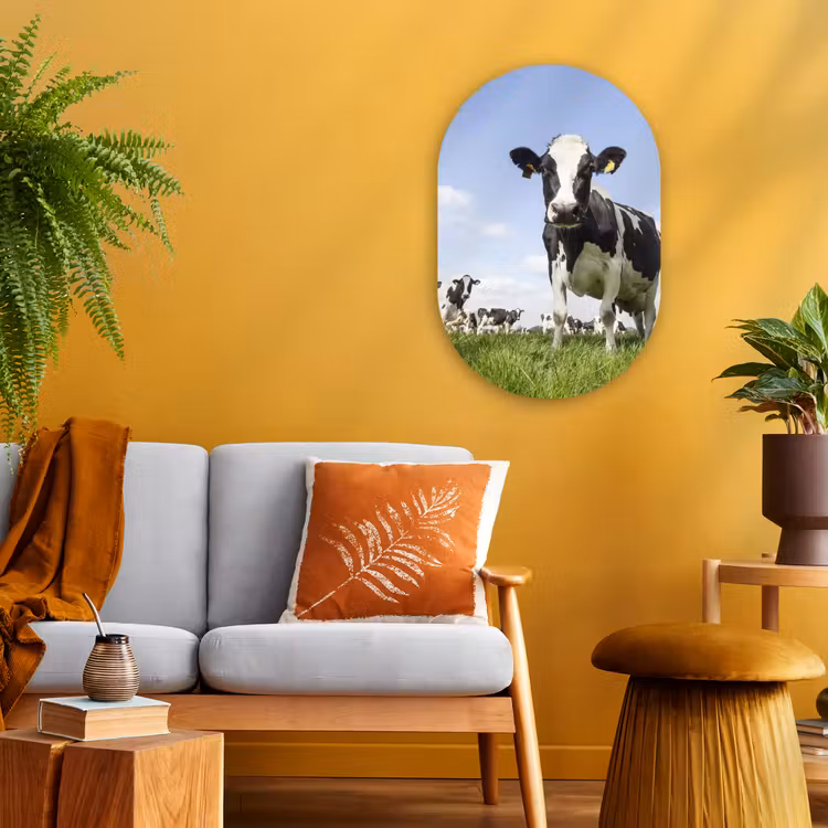 Koeien - Gras - Dieren - Zon - Boerderij Wandcirkel Ovaal Forex klein -sfeer4