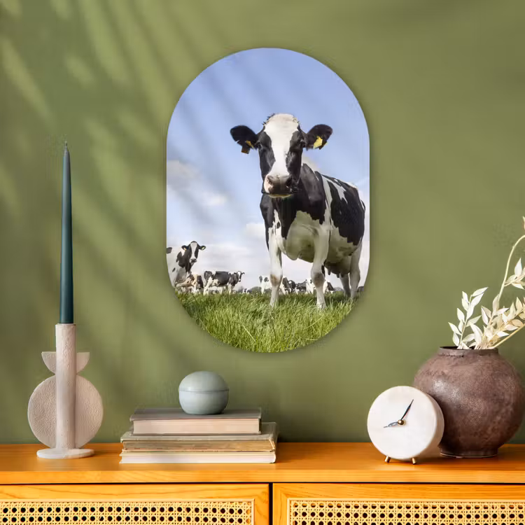 Koeien - Gras - Dieren - Zon - Boerderij Wandcirkel Ovaal Forex klein -sfeer2