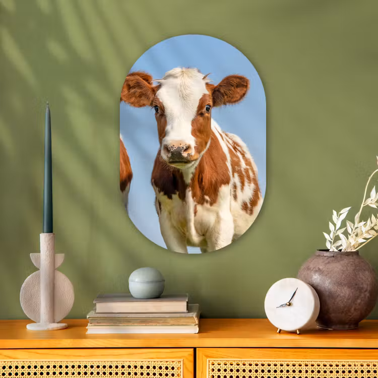 Koeien - Lucht - Dieren - Boerderij - Portret Wandcirkel Ovaal Forex klein -sfeer2