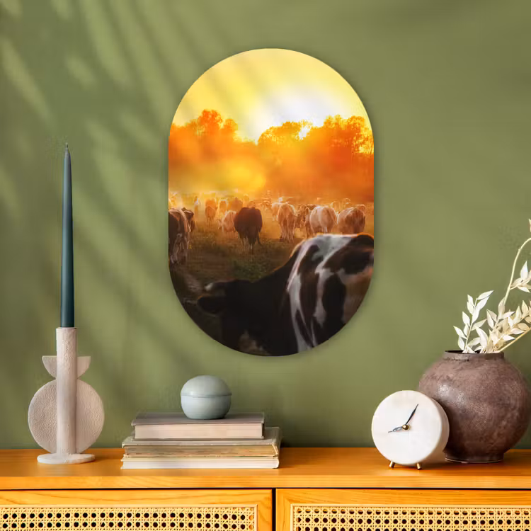 Koeien - Zonsondergang - Weiland - Dieren Wandcirkel Ovaal Forex klein -sfeer2