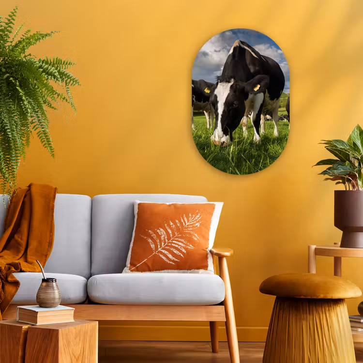 Koeien - Dieren - Gras - Weiland - Boerderij Wandcirkel Ovaal Forex klein -sfeer4