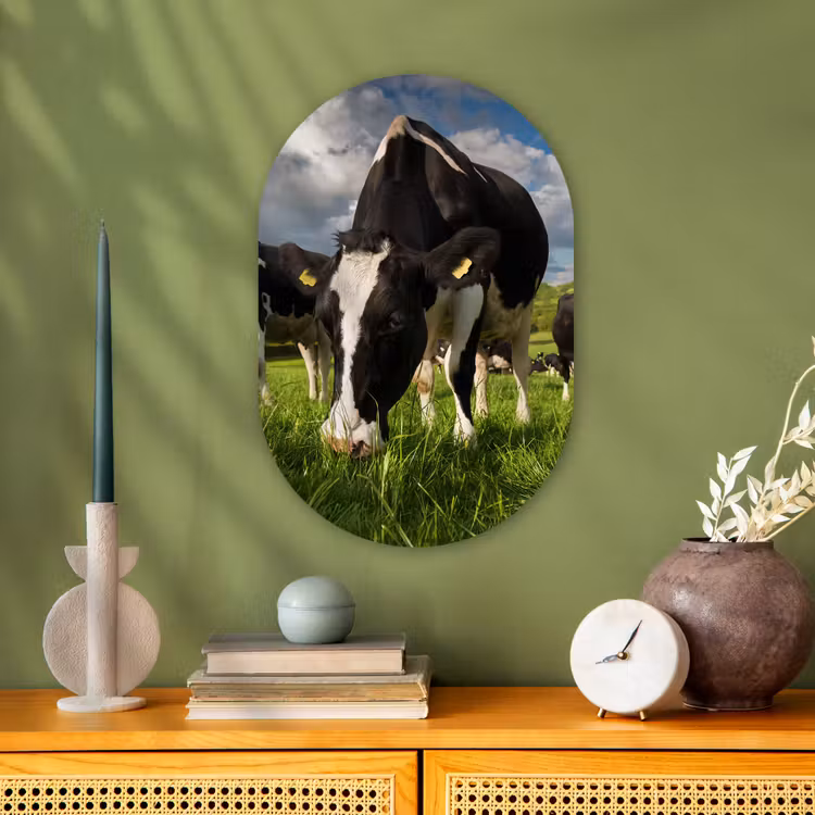 Koeien - Dieren - Gras - Weiland - Boerderij Wandcirkel Ovaal Forex klein -sfeer2