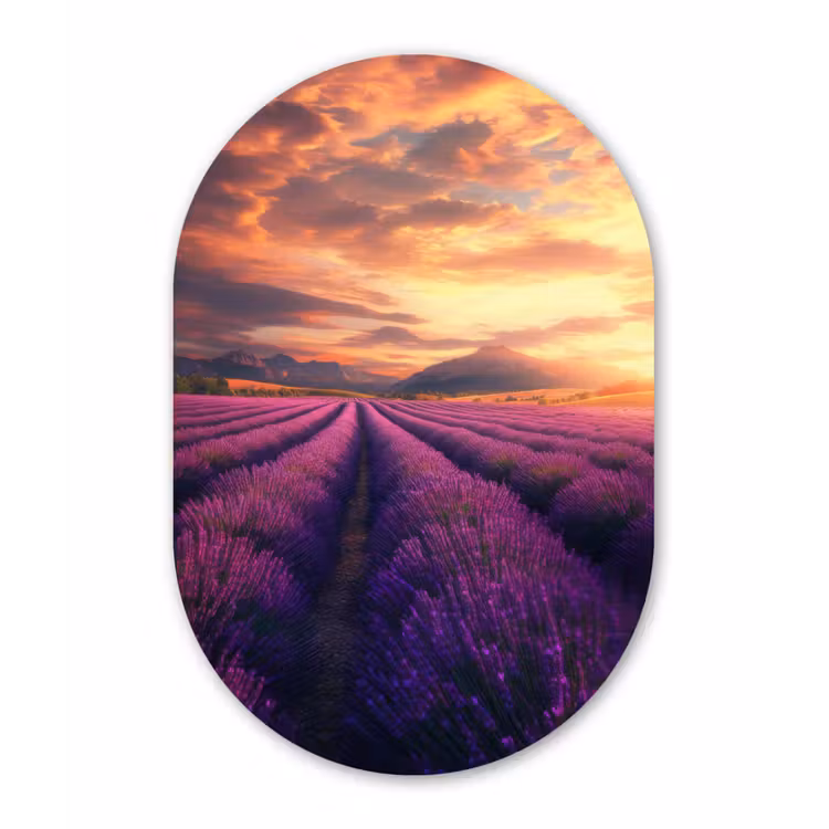 Lavendelveld - Zonsondergang - Paars Wandcirkel Ovaal Forex klein -3d