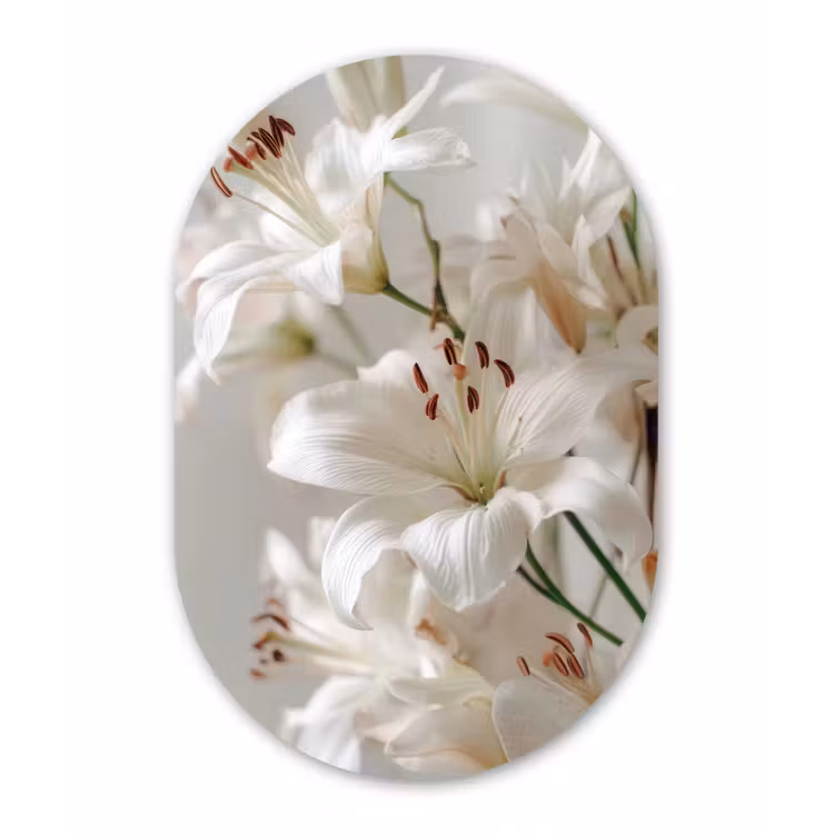 Lelies - Boekte - Wit - Meeldraden Wandcirkel Ovaal Forex klein -3d