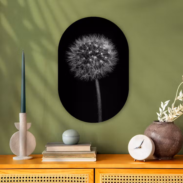 Paardenbloem - Zwart - Bloemen - Botanisch Wandcirkel Ovaal Forex klein -sfeer2