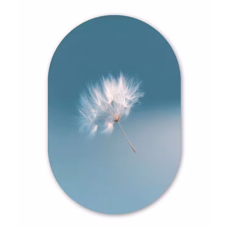Paardenbloempluisje - Blauw - Lucht Wandcirkel Ovaal Forex klein -3d