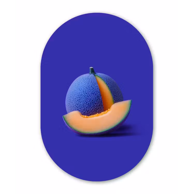 Meloen - Blauw - Oranje - Kunstzinnig Wandcirkel Ovaal Forex klein -3d