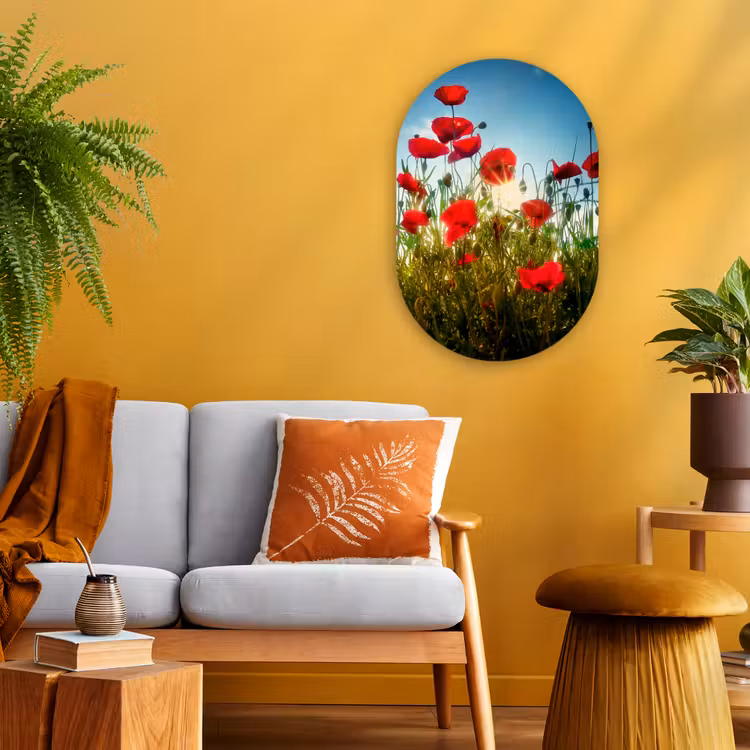 Klaprozen - Toscane - Zon - Rood - Blauw Wandcirkel Ovaal Forex klein -sfeer4