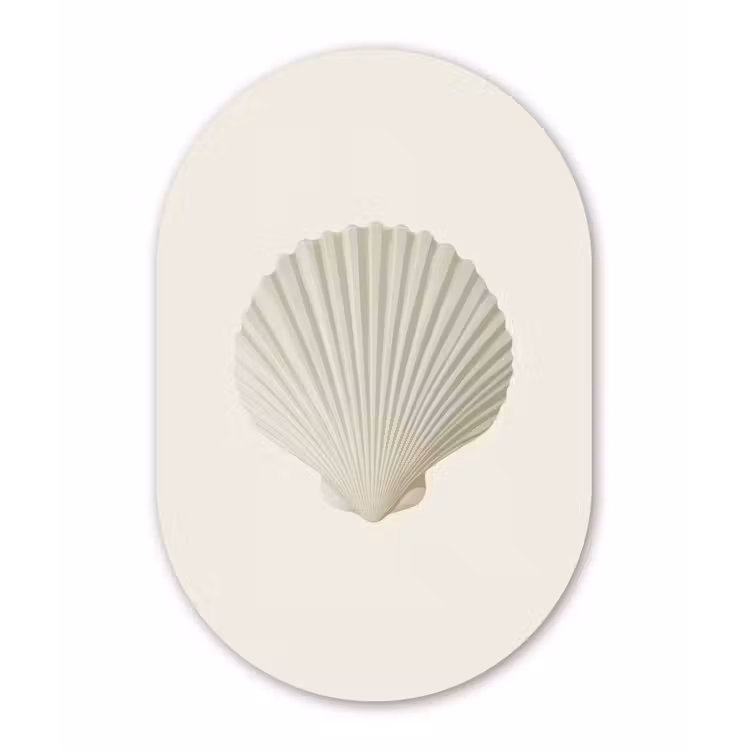 Schelp - Minimalistisch - Wit Wandcirkel Ovaal Forex klein -3d