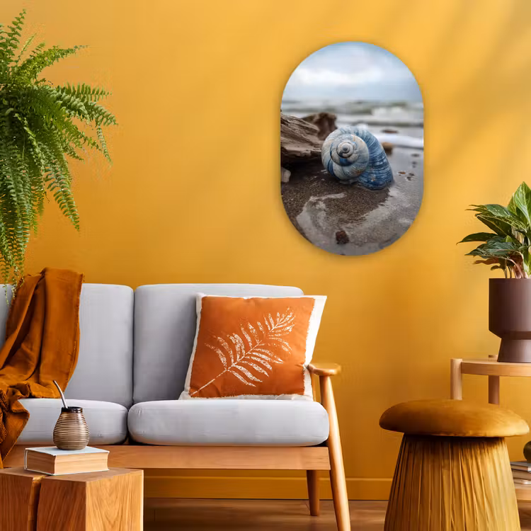 Schelp - Strand - Blauw - Zee Wandcirkel Ovaal Forex klein -sfeer4