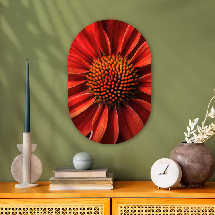 Close up - Bloem- Rood Wandcirkel Ovaal Forex klein -sfeer2