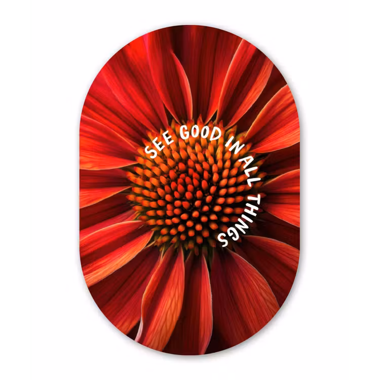 Close up - Bloem - Quote - Rood Wandcirkel Ovaal Forex klein -3d