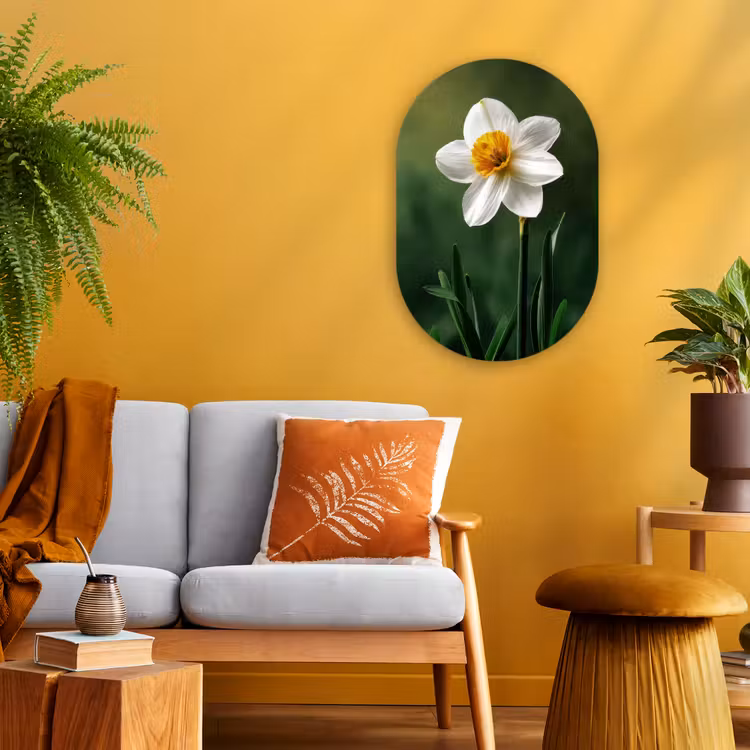 Narcis - Bloem - Wit - Grassprieten Wandcirkel Ovaal Forex klein -sfeer4