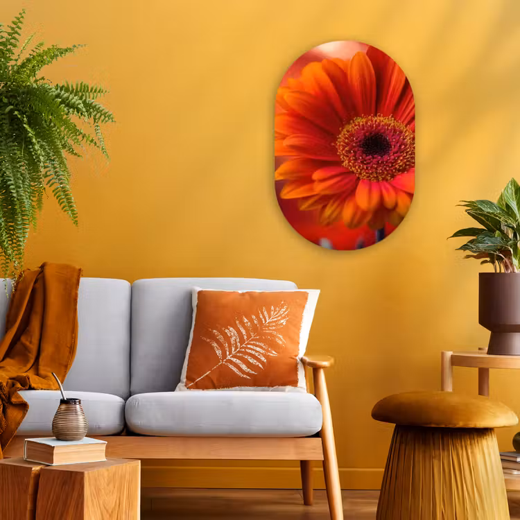 Oranje - Gerbera - Intens Wandcirkel Ovaal Forex klein -sfeer4