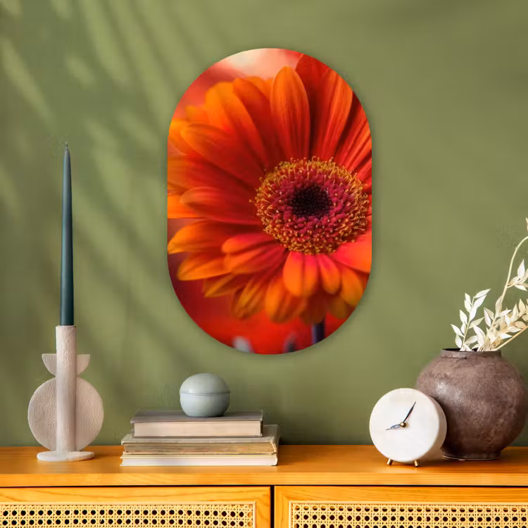 Oranje - Gerbera - Intens Wandcirkel Ovaal Forex klein -sfeer2