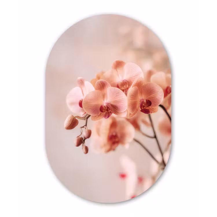 Orchidee - Bloemen - Roze - Bloemblaadjes Wandcirkel Ovaal Forex klein -3d