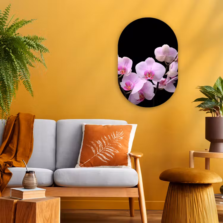 Orchidee - Bloemen - Roze - Flora Wandcirkel Ovaal Forex klein -sfeer4