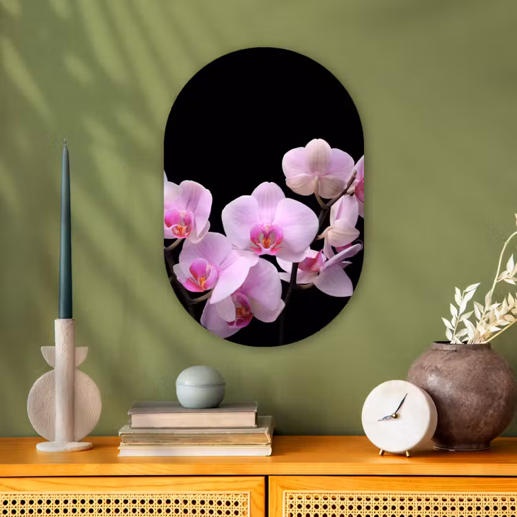 Orchidee - Bloemen - Roze - Flora Wandcirkel Ovaal Forex klein -sfeer2