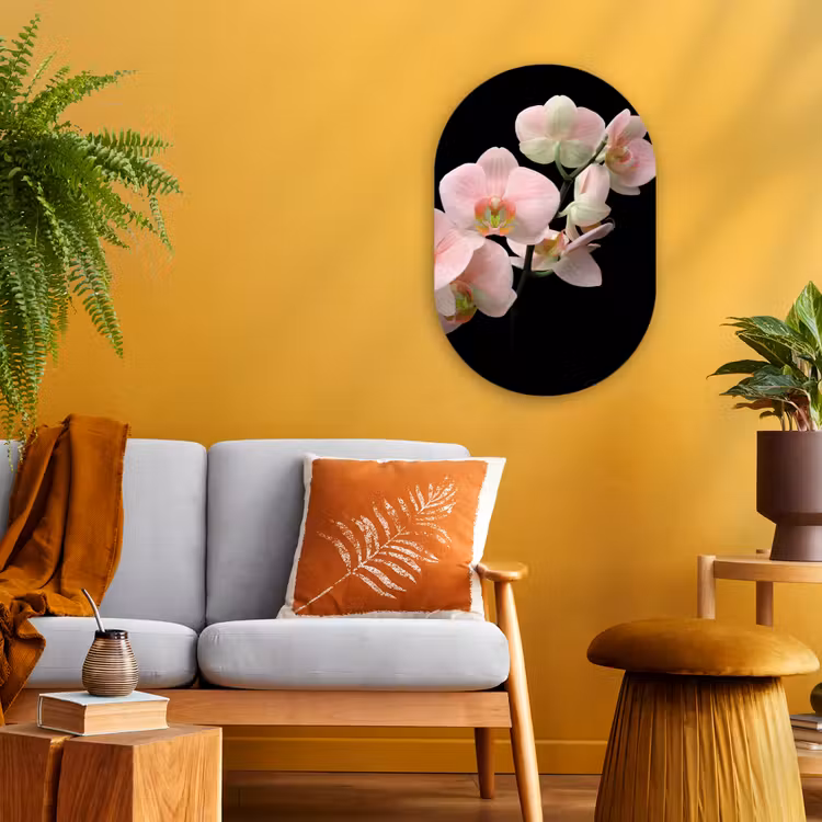 Orchidee - Bloemen - Roze - Stilleven - Flora Wandcirkel Ovaal Forex klein -sfeer4