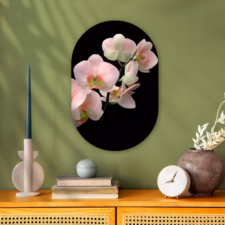 Orchidee - Bloemen - Roze - Stilleven - Flora Wandcirkel Ovaal Forex klein -sfeer2