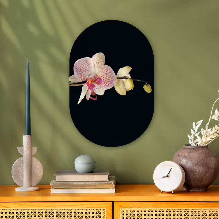 Orchidee - Bloemen - Zwart - Roze - Knoppen Wandcirkel Ovaal Forex klein -sfeer2