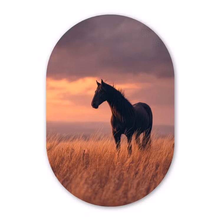 Paard - Wolken - Open veld Wandcirkel Ovaal Forex klein -3d