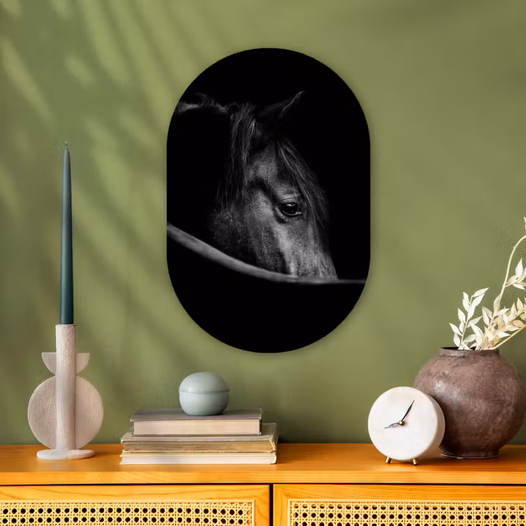 Paarden - Portret - Zwart - Dieren Wandcirkel Ovaal Forex klein -sfeer2