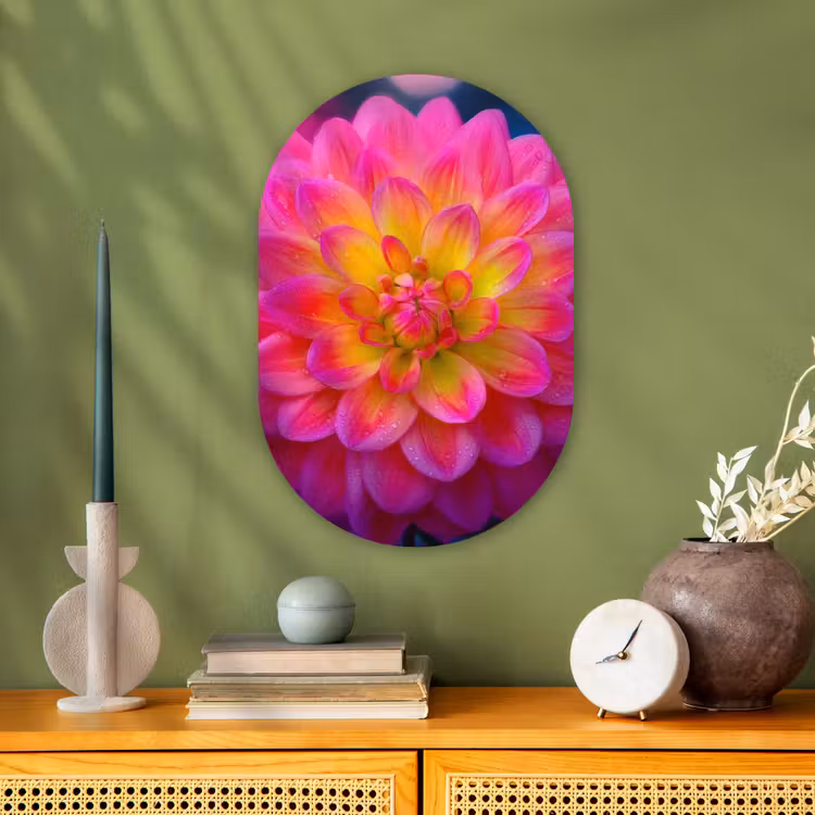 Roze - Dahlia - Kleurrijk Wandcirkel Ovaal Forex klein -sfeer2