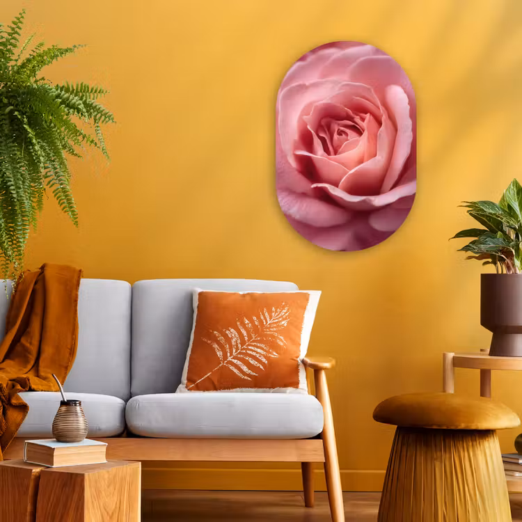 Roze - Roos - Romantisch Wandcirkel Ovaal Forex klein -sfeer4