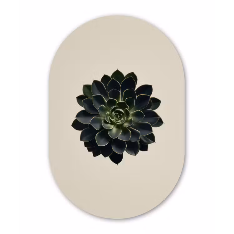 Rozet - Cirkelvormig - Donkergroen Wandcirkel Ovaal Forex klein -3d