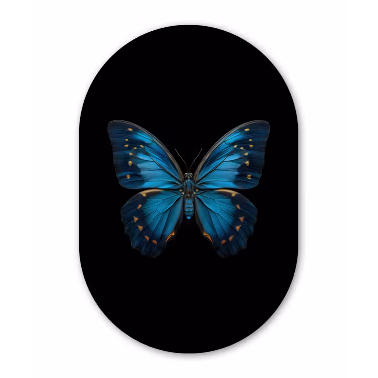 Vlinder - Blauw - Contrast Wandcirkel Ovaal Forex klein -3d
