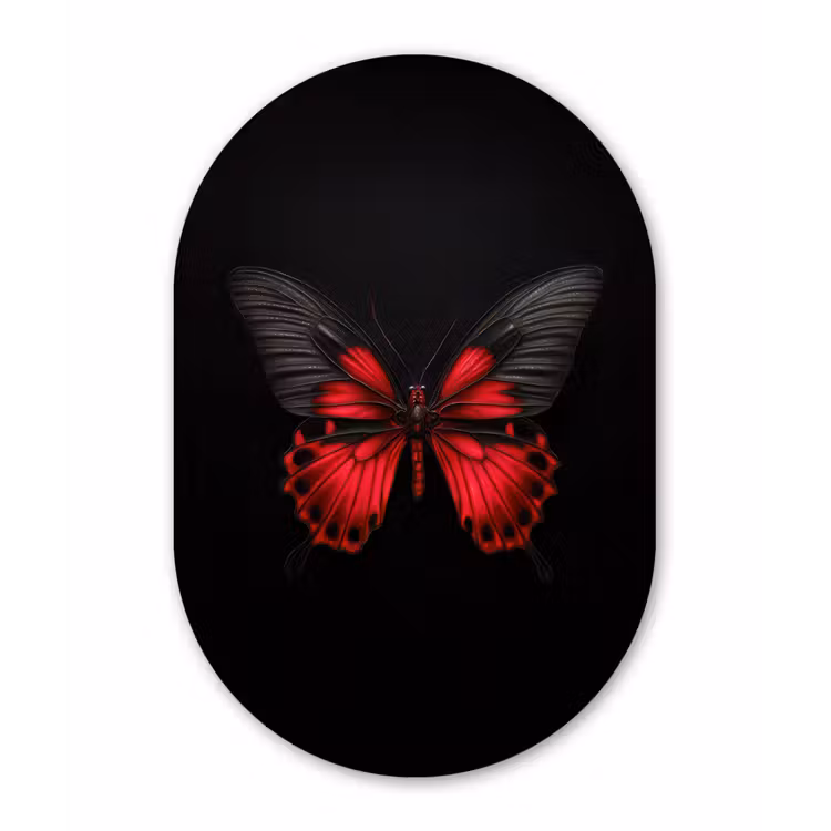 Vlinder - Rood - Contrast Wandcirkel Ovaal Forex klein -3d