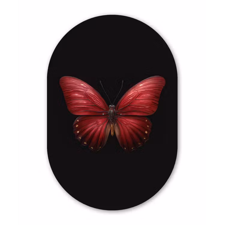 Vlinder - Rood - Minimalistisch Wandcirkel Ovaal Forex klein -3d