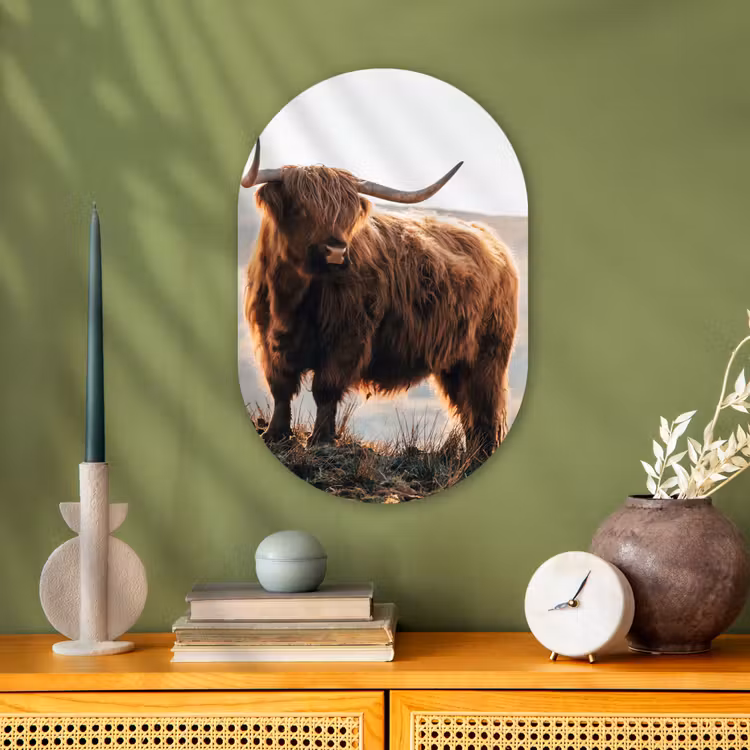 Schotse hooglander - Dieren - Landelijk - Landschap - Koe - Natuur Wandcirkel Ovaal Forex klein -sfeer2