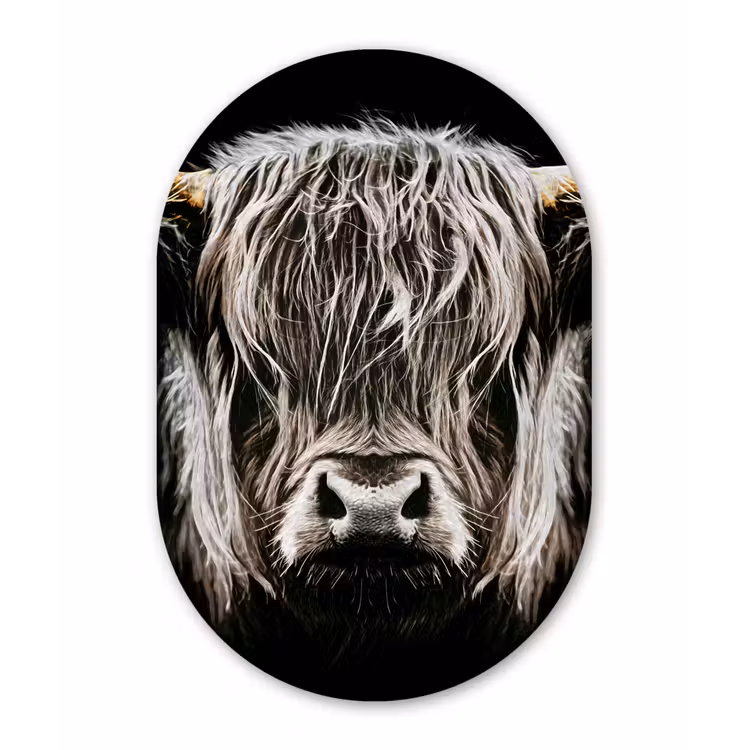 Schotse hooglander - Goud - Hoorns - Zwart wit - Koe - Dieren Wandcirkel Ovaal Forex klein -3d